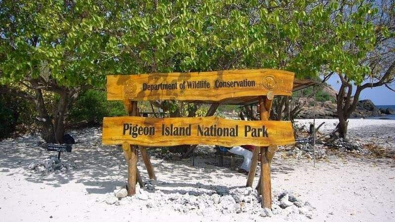 PIGEO ISLAND NILAVELI BEACH SRI LANKA