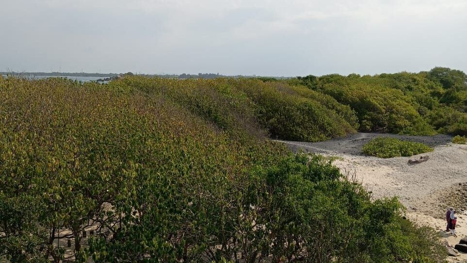 PIGEO ISLAND NILAVELI BEACH SRI LANKA